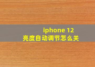 iphone 12 亮度自动调节怎么关